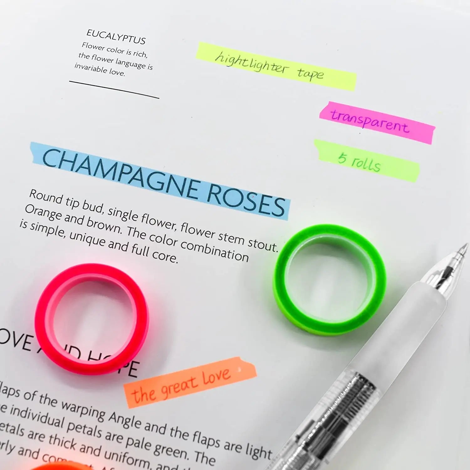 Fluorescent Index Tab Stickers – 5 Colors Transparent Sticky Notes